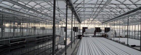 New growing technology debuts at Thiel’s Greenhouses