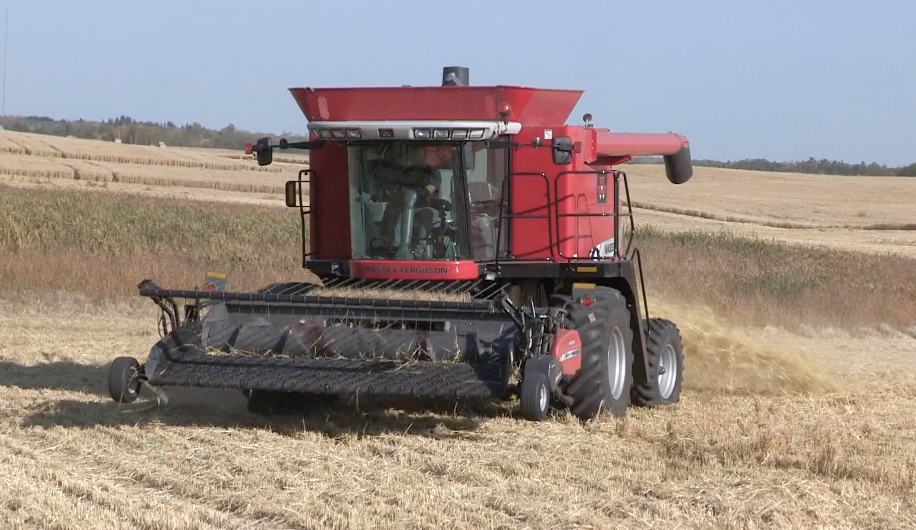 Province recognizes local AG society members