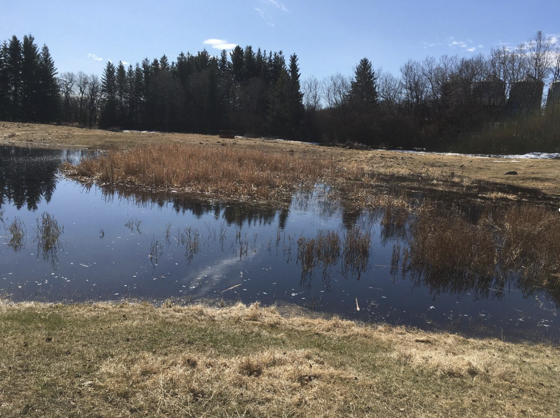 Farm Wife Diaries: Spring has sprung