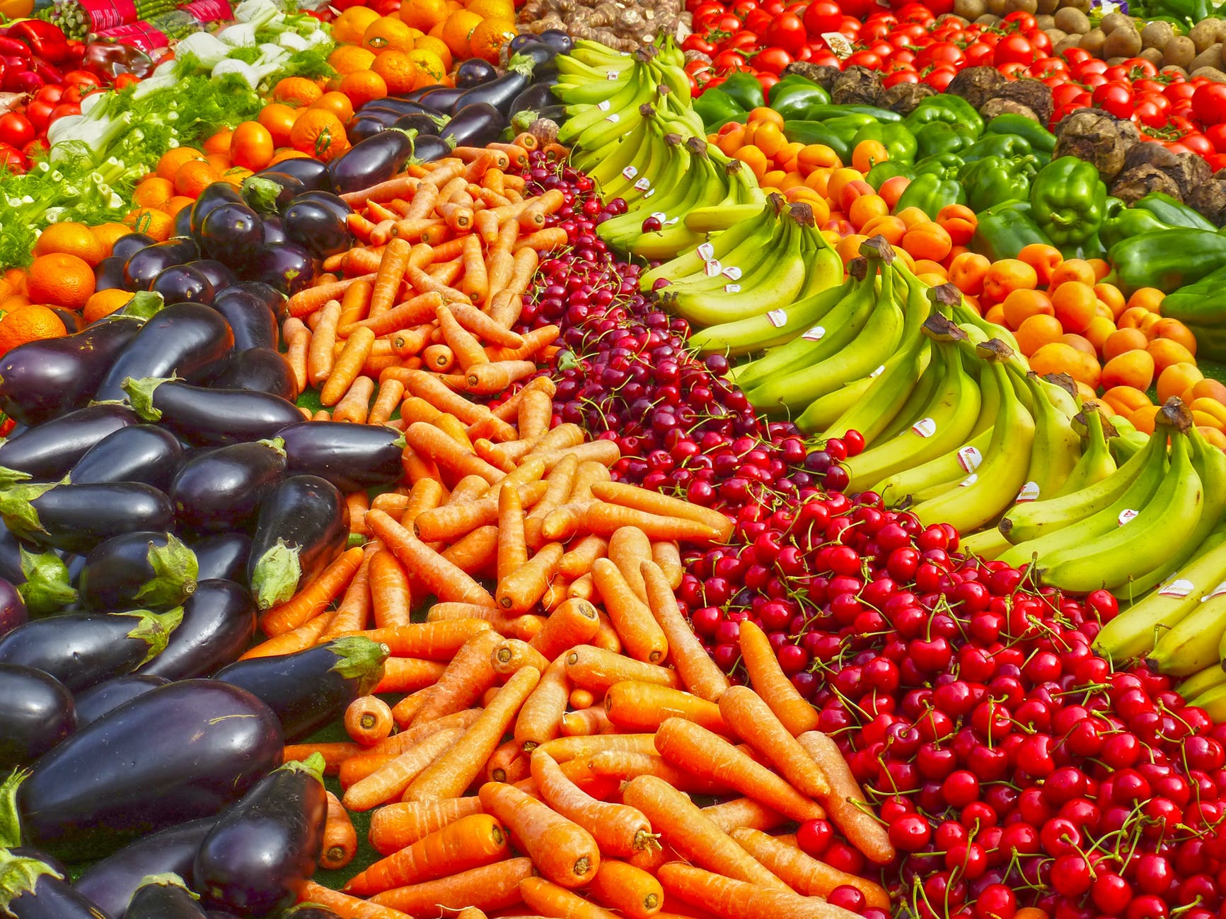 Province invests $81,000 to help source more farm-fresh local food
